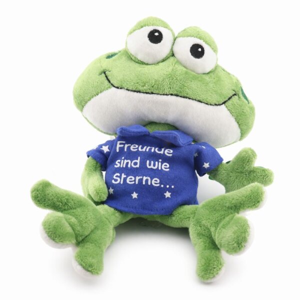 Plüschfrosch „Freunde sind wie Sterne“ – Geschenk für Freunde