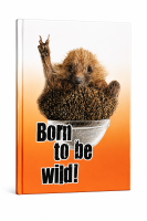 Notizbuch A5 kariert 80 Blatt 80 g/m² – Igel...